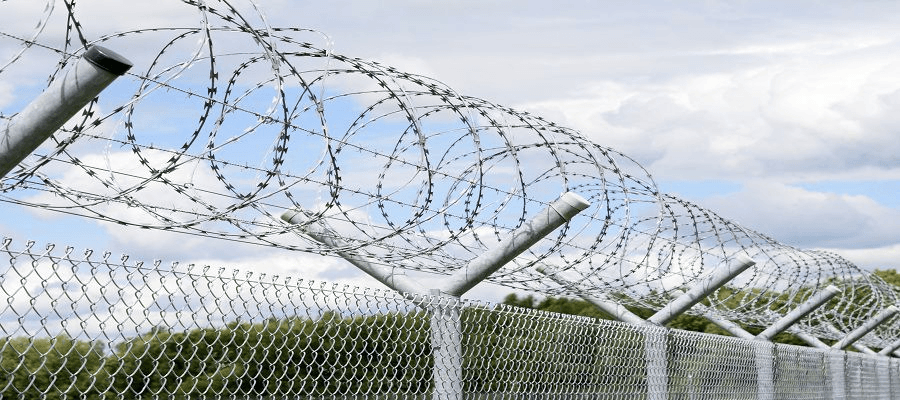 Wire Fencing Across Plant